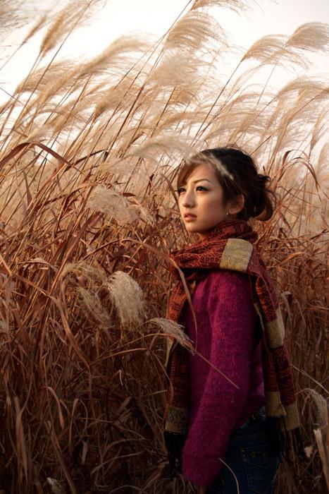 酷萌哈咪猫卡通图片壁纸